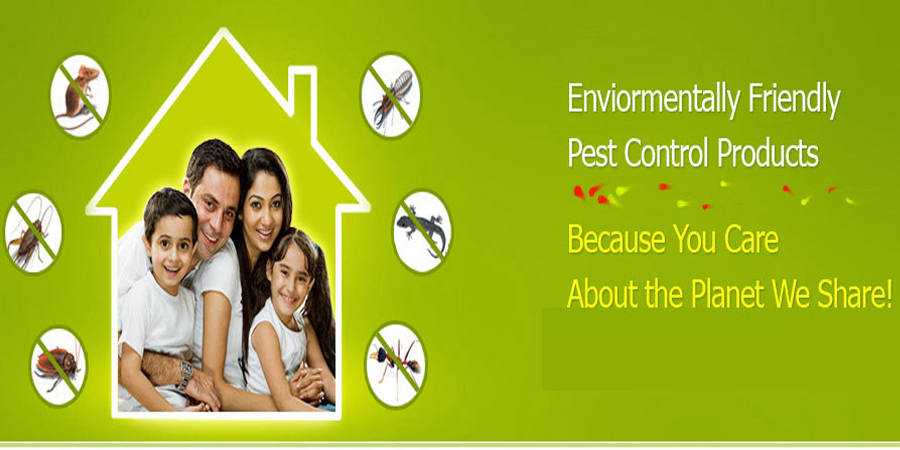 Get Permanent Solution From professional sample