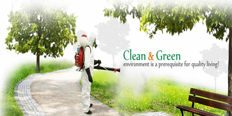 Get Permanent Solution From professional sample